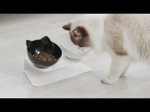 Миска для кота двойная с нескользящей наклонной подставкой из ABS пластика Feeding Bowl черная (FВ-26438) Video #1