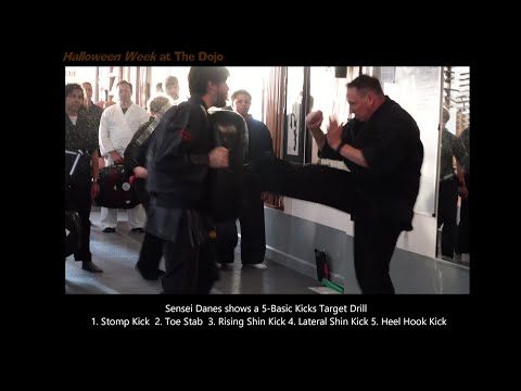 Kicking Drill Class Clip at The Dojo Martial Arts