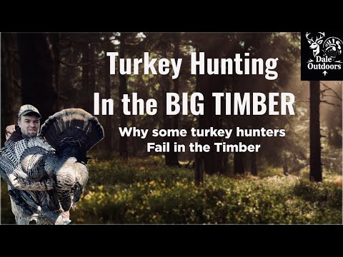 How to TURKEY HUNT the BIG TIMBER