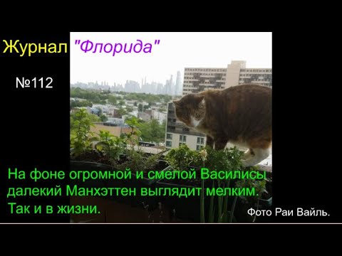 112-й Журнал 'Флорида'. Ежедневные новости. Океан, путешествия, цирк, живопись, поэзия.