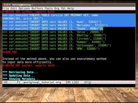 Python Tutorial Postgresql Database Part 2