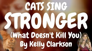 Cats Sing Stronger (What Doesn&#39;t Kill You) by Kelly Clarkson | Cats Singing Song