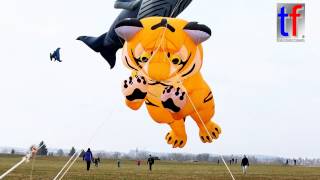 preview picture of video 'FLYING / Fliegender Tiger, Kite Festival / Drachenfest Welzheim, Germany, 15.03.2015.'