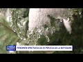 FENOMEN SPECTACULOS SI PERICULOS LA BOTOSANI
