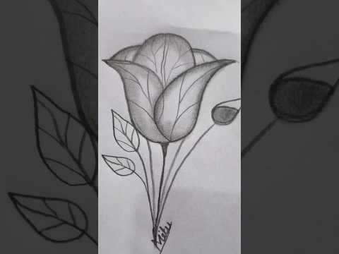 How to draw a beautiful flower and Leaf. #artvideo #shorts #foryou #pencildrawing #flowers