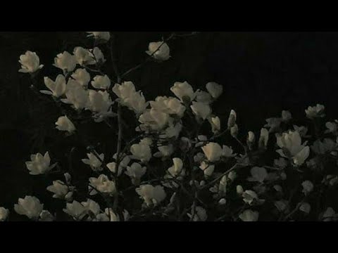 pov: right person wrong time 【a hopeless romantic playlist for unrequited lovers】