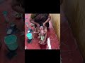 ️Baby Bath Baby Massage Traditional Bath Shorts Babybath