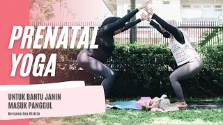 Download lagu PRENATAL YOGA UNTUK BANTU JANIN MASUK PANGGUL mp3 Download lagu PRENATAL YOGA UNTUK BANTU JANIN MASUK PANGGUL mp3