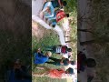 Maar Saale Ko Bheje Me Goli