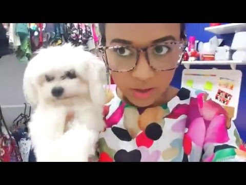 SOMOS 100K NÊÊÊNNS!!! COMEMORANDO EM TEMPO REAL ♥