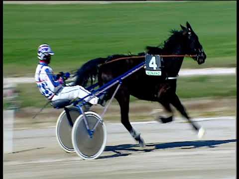 Trotto 17/03/2019 - 1ª corsa