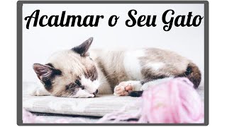 A MELHOR Música Para ACALMAR Seu Gato - Com Piano e Sons da Natureza