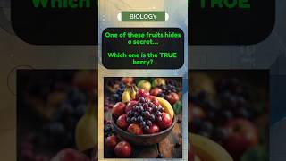 👉 Which Fruit Is the REAL Berry? 🍌🍓