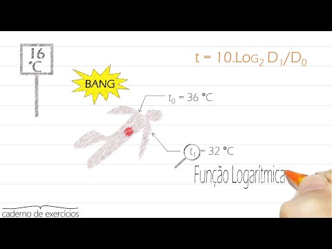 Logarithm Function: The Criminal Investigation Log