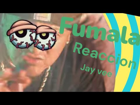 Fumala _@jayvee_mx (reacción )@Losalkaponesflowrecords #filmadikz 