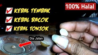 Download lagu NGAWI - TES Keaslian Kol Buntet Jimat Kekebalan Anti Sakit mp3