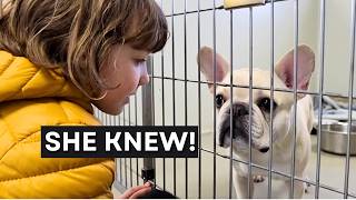 She Refused Every Family on Adoption Day. Then We Realized Who She Was Waiting For. 🐾✨