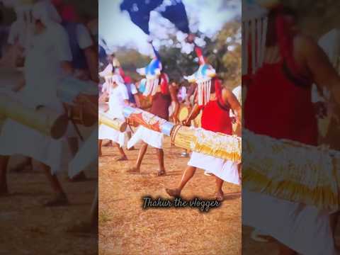 Bastar #culture Adiwasi #samuday #dance #villagelife #viralvideo