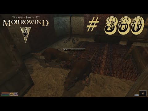 Let's Retro TES III - Morrowind # 360 [Deutsch] [HD]: Eine Rattenplage
