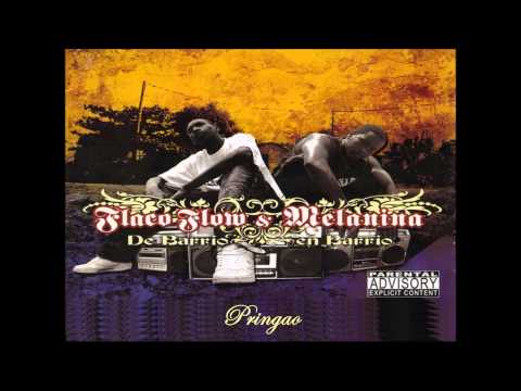 Flaco Flow y Melanina - Pringao (Audio)