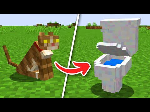 Insane Minecraft Transformation: Household Objects as Mobs!