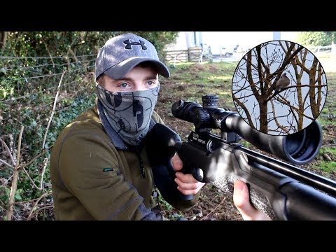 The Airgun Show – Hunting double bill, pigeons, doves & squirrels, PLUS new gear IWA 2019