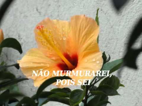 Dupla Honra video
