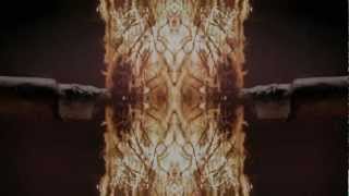 DUBB - Stoned (Official Music Video)