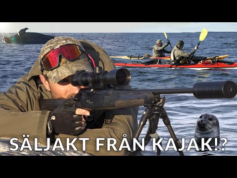 Robbenjagd mit dem Kajak? Erlebnisreiches Abenteuer im Schärengarten - Teil 1