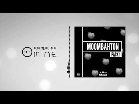The Sample Dealer - Moombahton Sample Pack by Kylian Ruano [FREE SAMPLE PACK]
