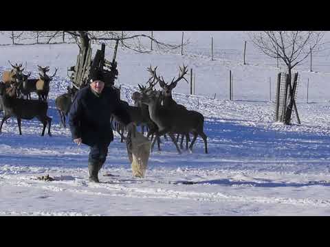 Hermann Pammer - Versteckte Liab