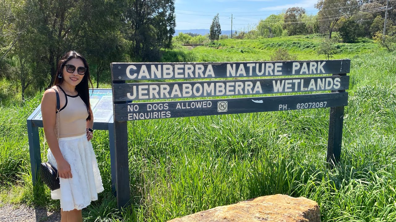 Join an explorer on a journey to Jerrabomberra Wetlands.