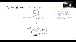 GMT20240516 130519 Recording 1920x1020 AP Abdominal Aorta