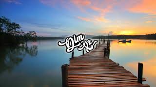 Steve Aoki - Waste It On Me feat. BTS (Cheat Codes Remix) [DLMXX Release]