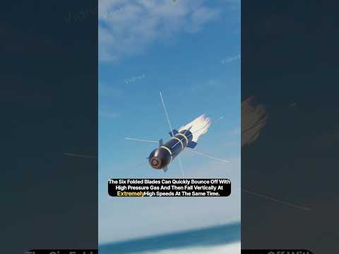 Blade Hellfire Missile. How terrifying is it?