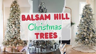 9 Best Balsam Hill Christmas Trees 2026