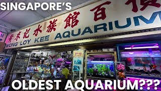 Download lagu OLDEST AQUARIUM SHOP IN SINGAPORE??? | Visiting Wong Loy Kee Aquarium mp3 Download lagu OLDEST AQUARIUM SHOP IN SINGAPORE??? | Visiting Wong Loy Kee Aquarium mp3