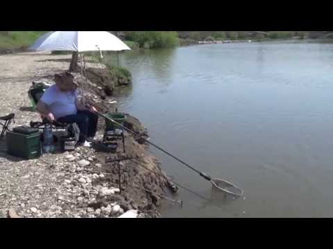 O balta buna  - Gruiu "La da-i bataie"