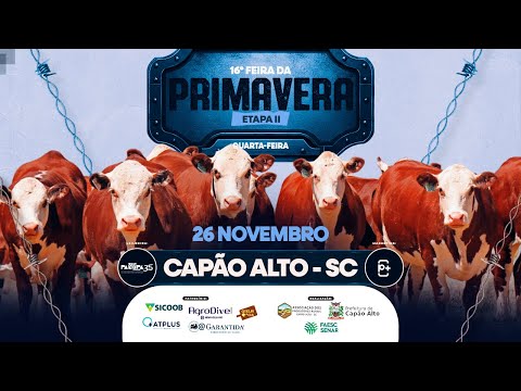 16° Feira da Primavera - II Etapa, CAPÃO ALTO/SC - 26/11/2025 19:00h