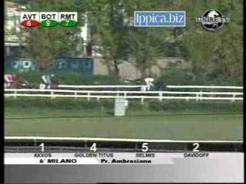 Premio Ambrosiano 2008 (Milano, GR 3)