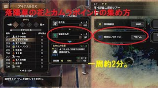 【MHRsb】2分で出来る！落陽草の花12個とカムラポイント9000を同時に集める方法【モンハンサンブレイク】