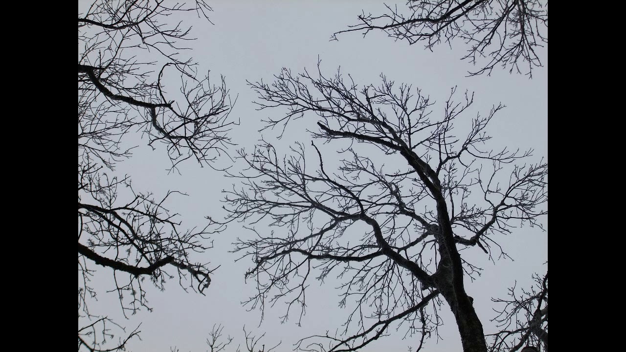 Improvisation Vayu Vocal - Air