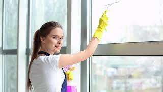 What Do Professional Use For Window Cleaning