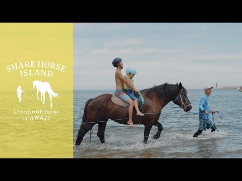 海辺で馬アソビの動画
