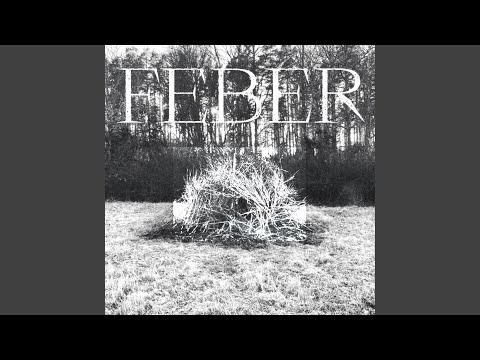 Feber