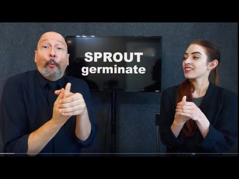 001 ASL American Sign Language Vocabulary Expansion Series Dr Bill Rach 2019 08 02 a