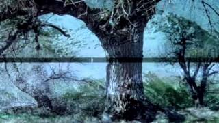 Coastdream - Untitled 16