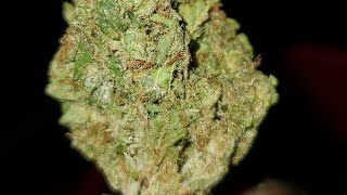 VENOM O.G STRAIN WAKE AND BAKE STYLE