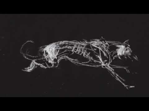 Video thumbnail for No One’s Coming Home