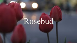 Amerigo Gazaway - Rosebud (Trayvon Martin Tribute) (Music Video)
